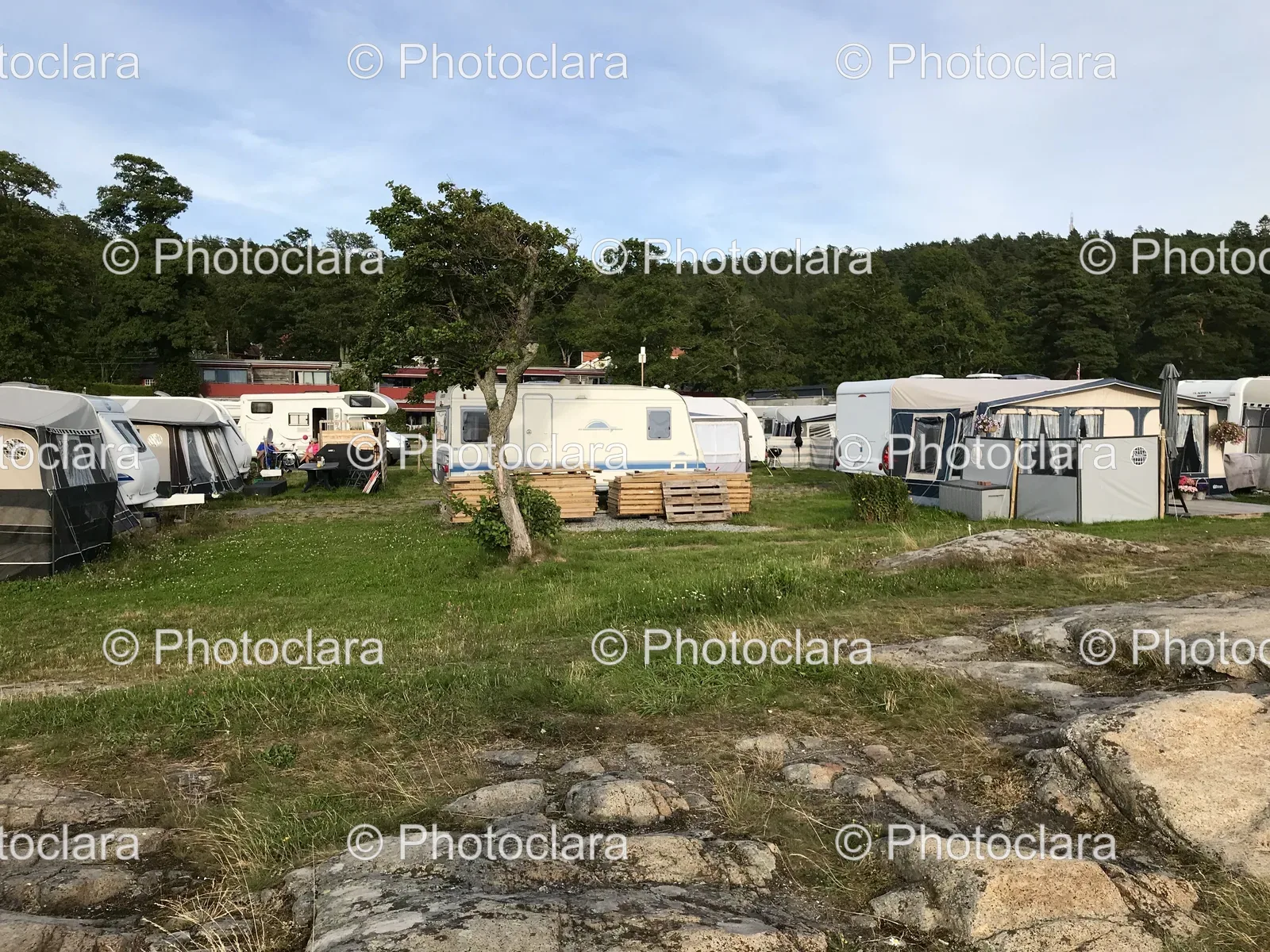 campers-parked-in-grassy-area.jpg