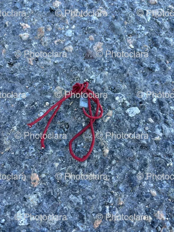 Outdoor Scenes and Objects