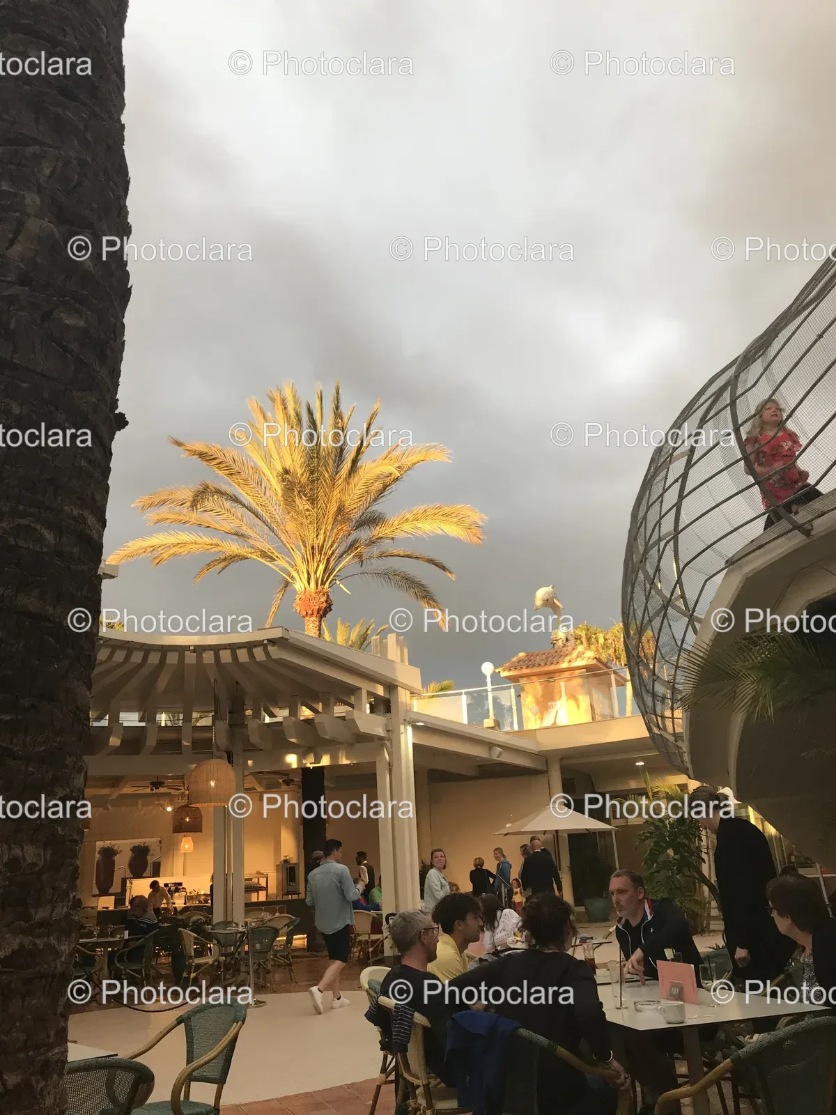 Group-of-People-Enjoying-Outdoor-Gathering.jpg