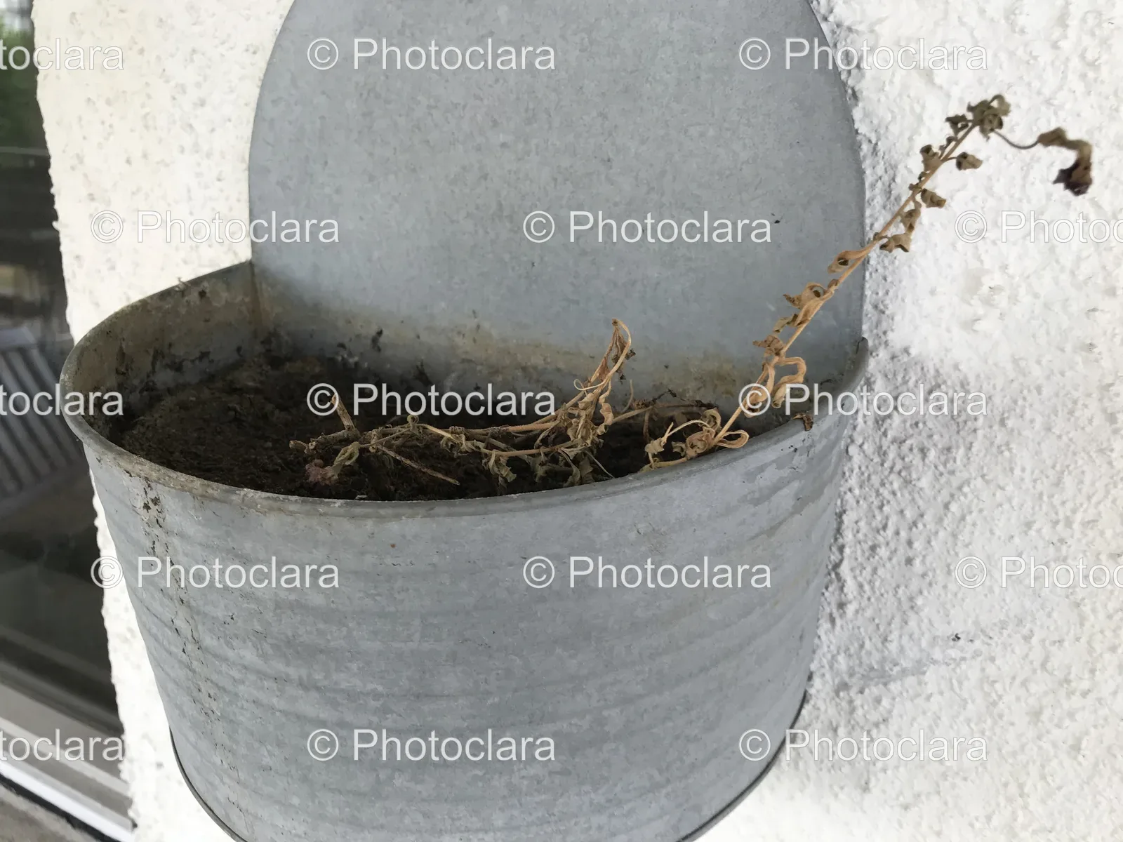 Plant-Metal-Container-Outdoor.jpg
