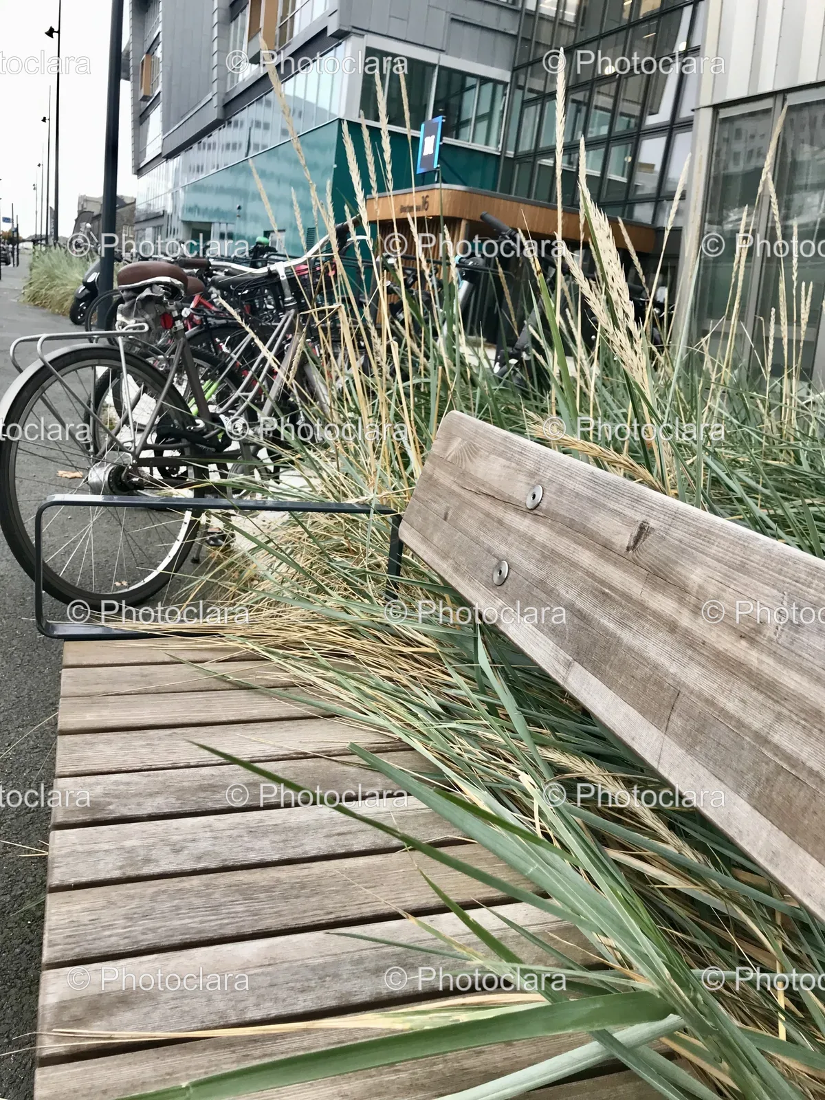 bikes-parked-by-a-grass-bench.jpg