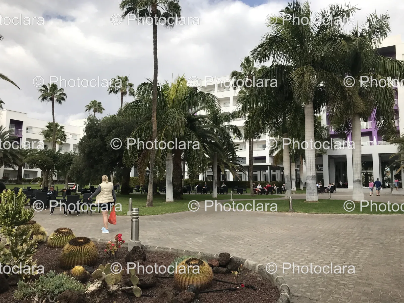 group-of-people-walking-in-a-park.jpg