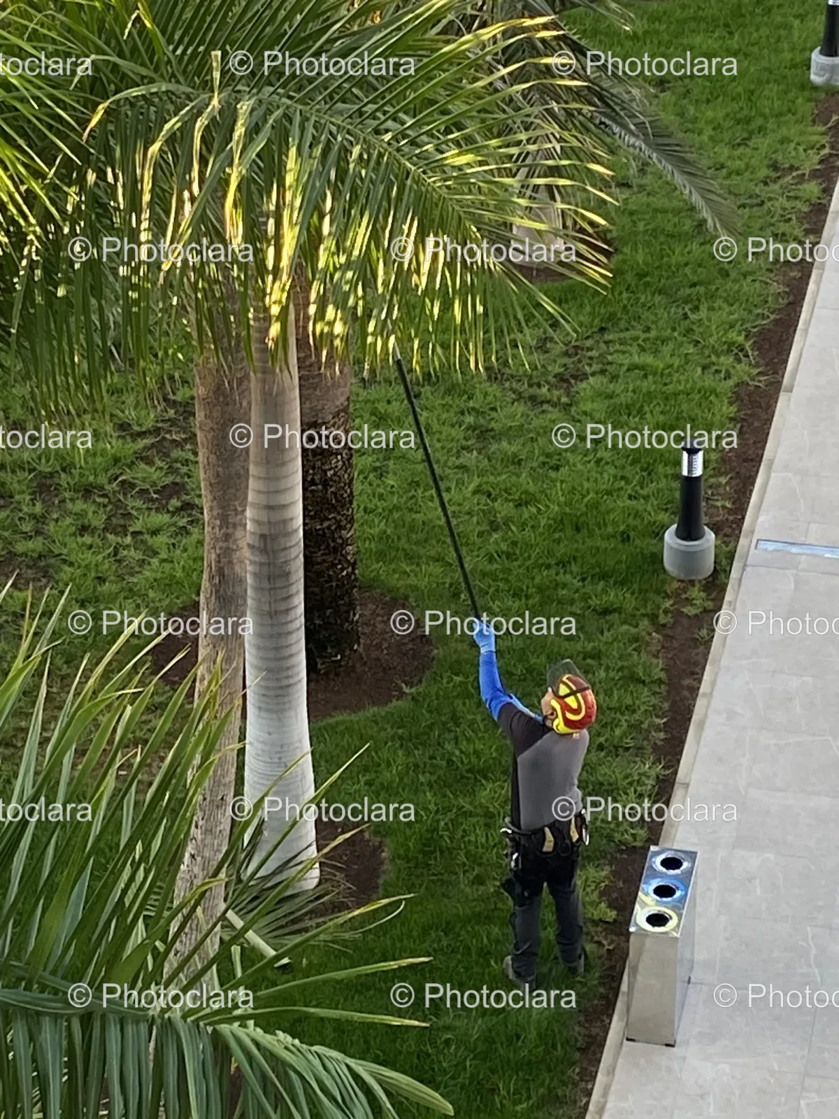 Safety-Gear-for-Tree-Climbing.jpg