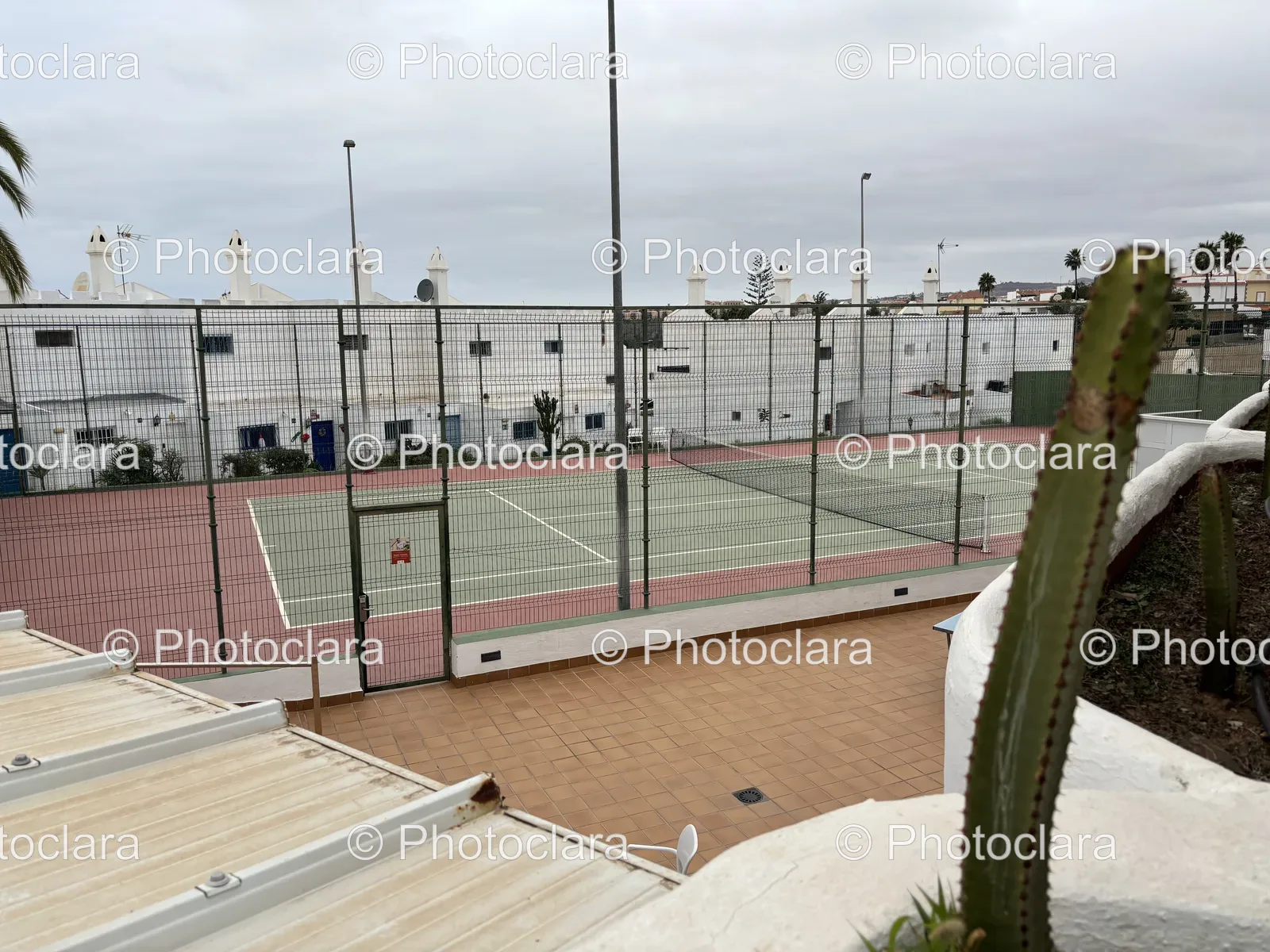 Tennis-Court-with-Cactus.jpg