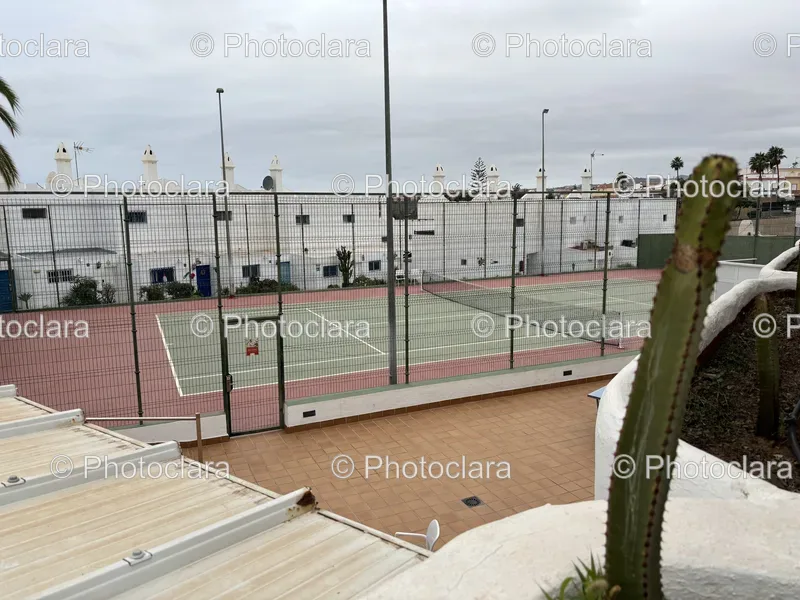 Sports and Recreation