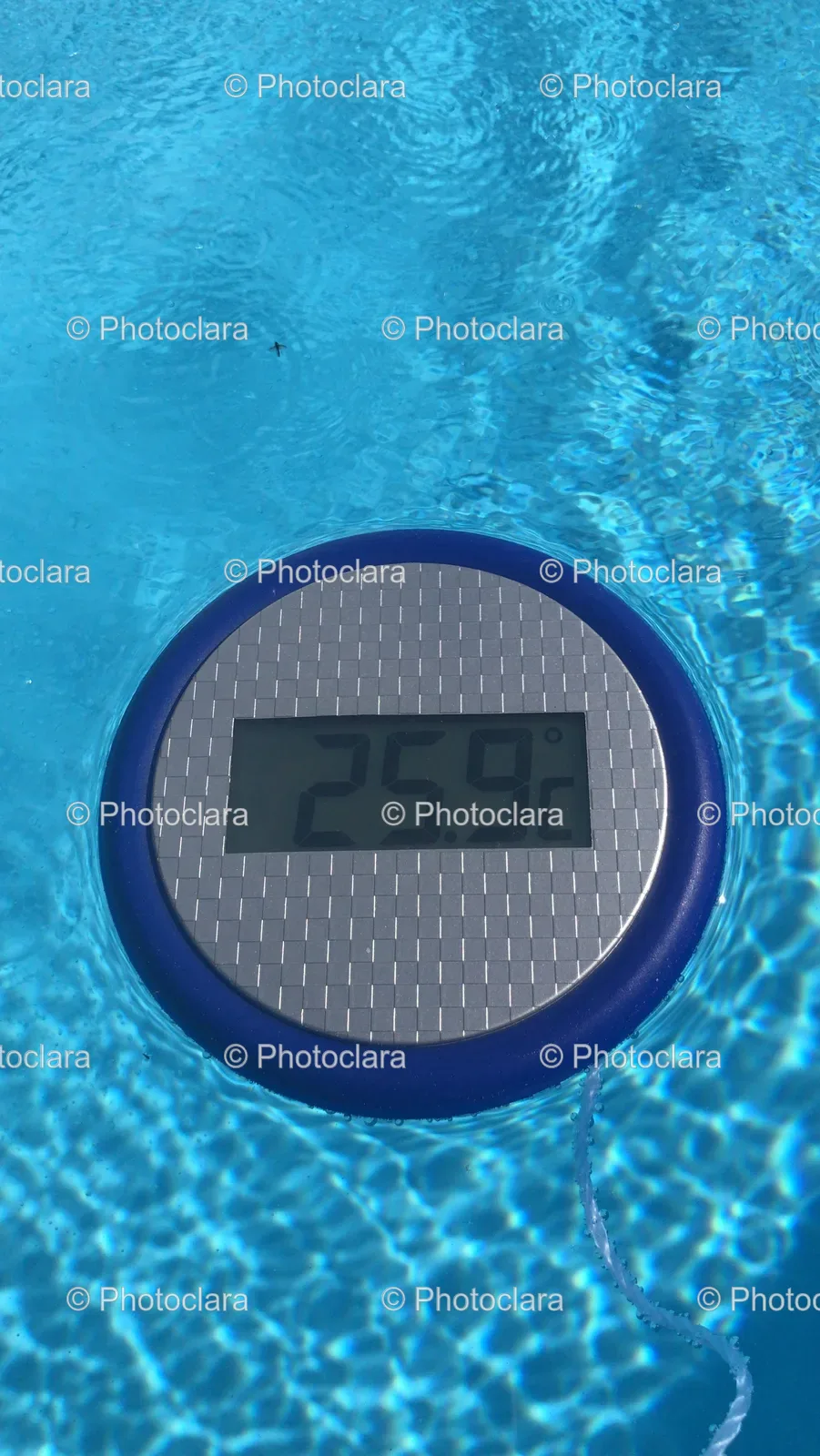 Digital-Thermometer-in-a-Pool.jpg