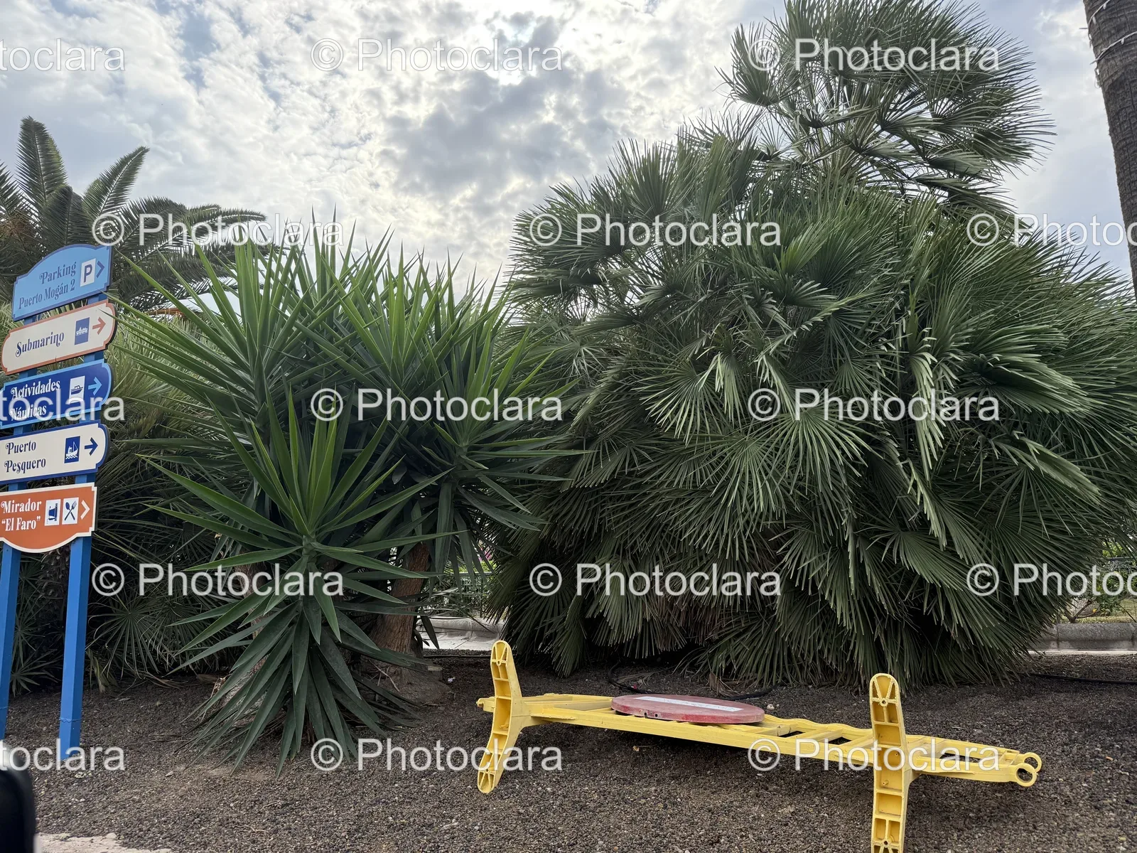 Yellow-Sled-in-Urban-Oasis.jpg