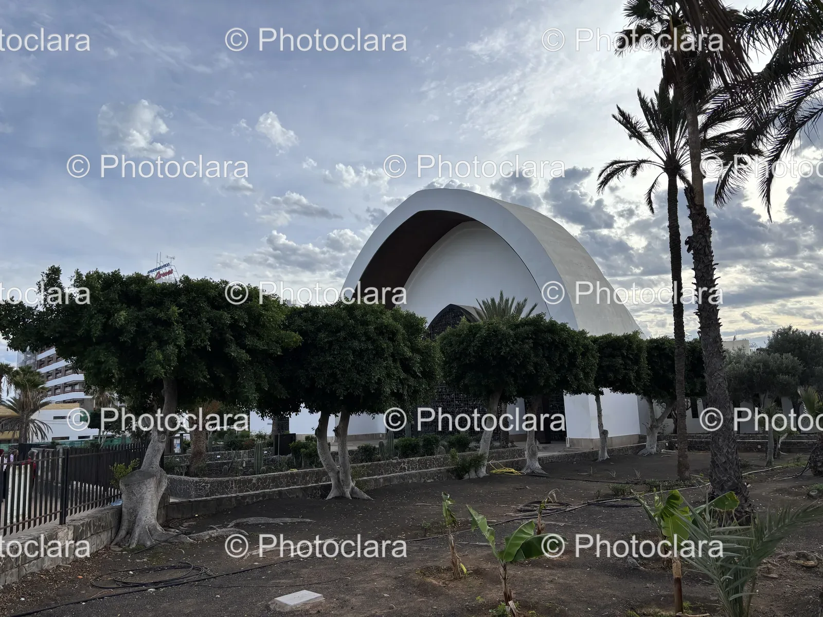 elegant-white-building-surrounded-by-nature.jpg