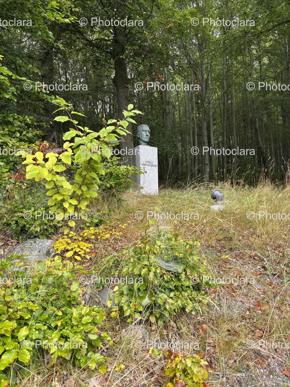 Statue-in-Forest.jpg