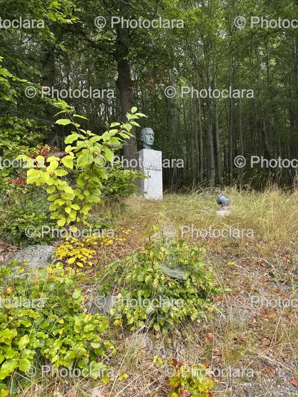 Forest Sculptures