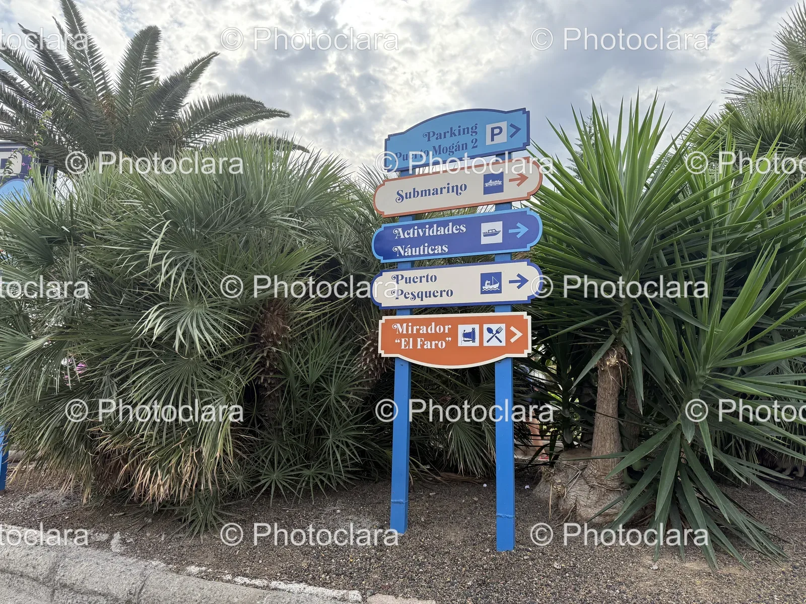 Multilingual-Directional-Signpost.jpg