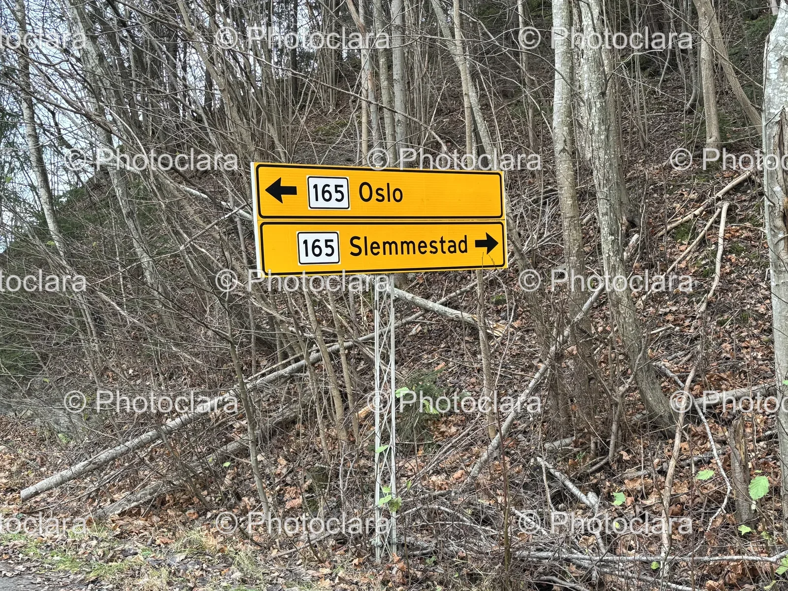 woodland-directional-signage-oslo-slemmestad.jpg