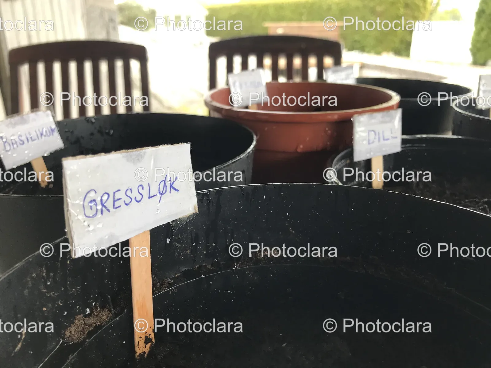 Herb-Labelled-Pots.jpg