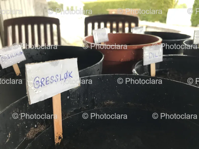 Herb Labels