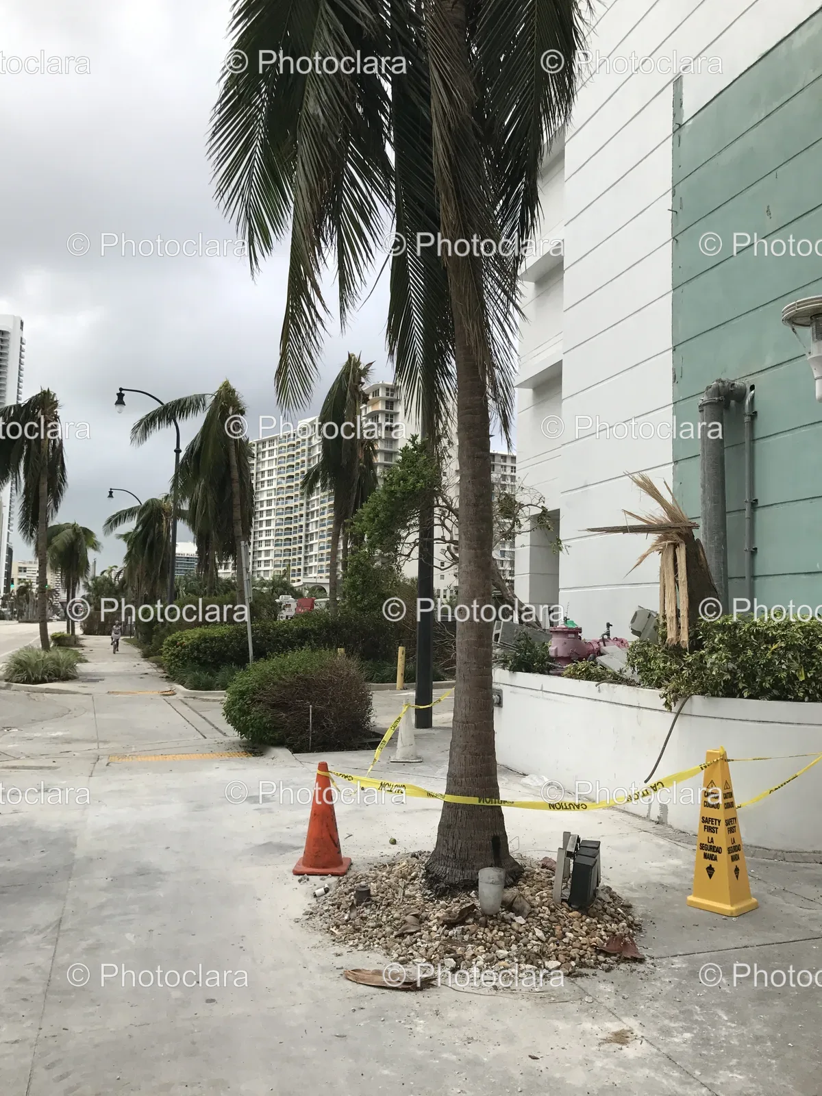 Caution-Tape-With-Palm-Trees.jpg