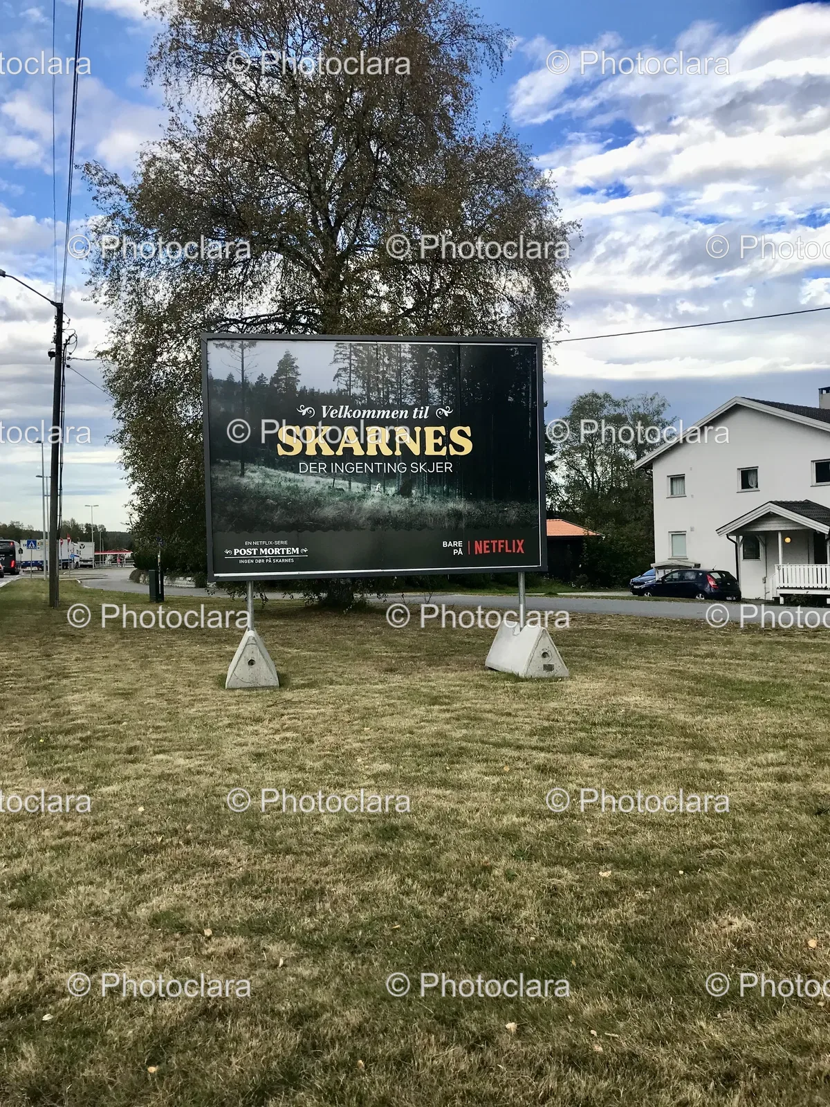 Large-Billboard-in-Grassy-Area.jpg
