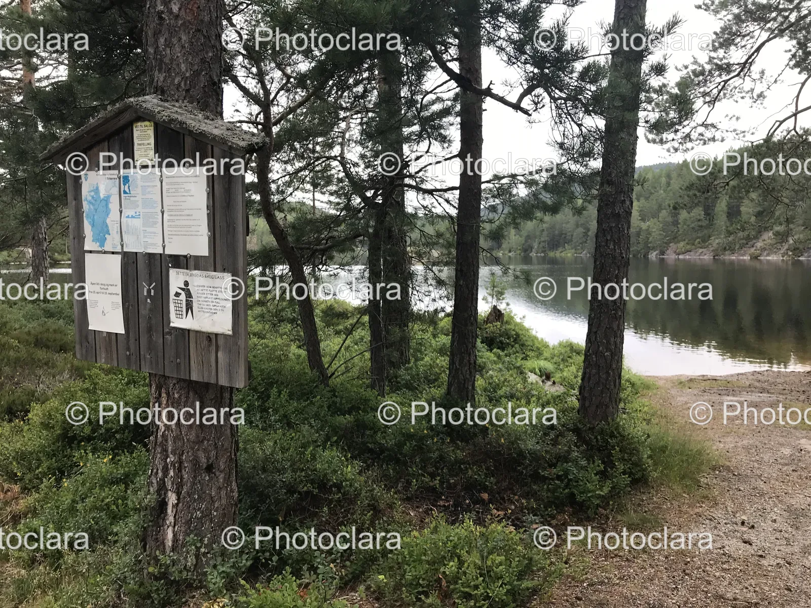 Sign-on-a-Tree-by-a-Lake.jpg