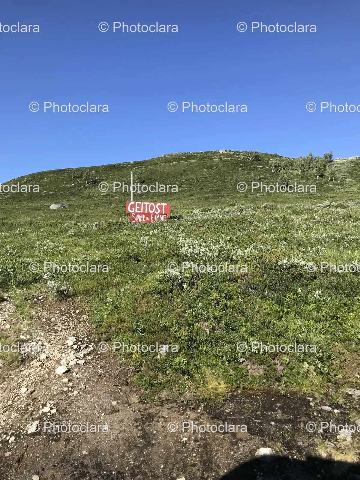 Sign-on-Hill-GEITOST.jpg