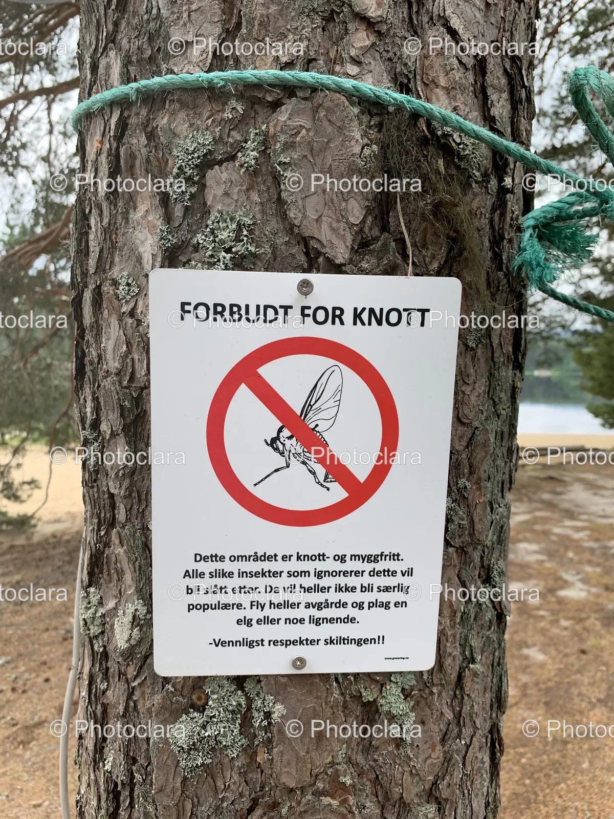 Warning-Sign-on-Tree-Norwegian-Humor.jpg