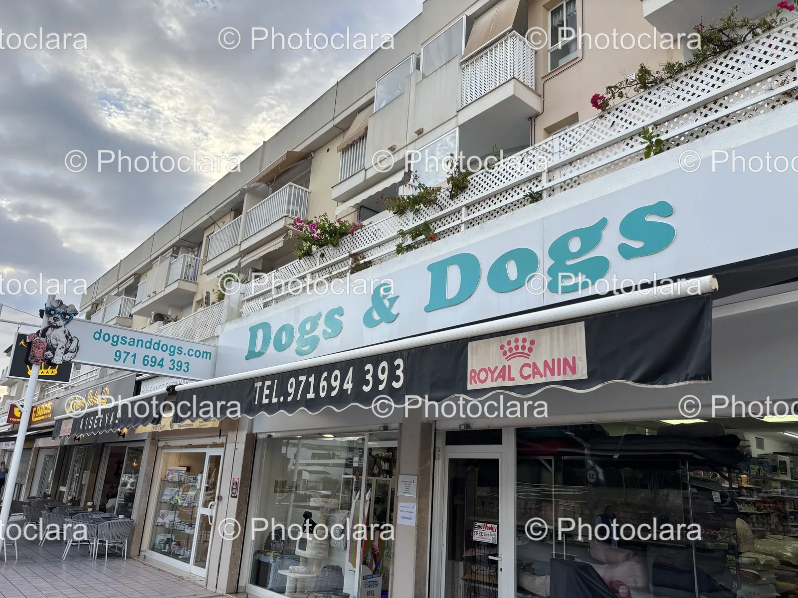 Charming-Dogs-and-Dogs-Storefront.jpg