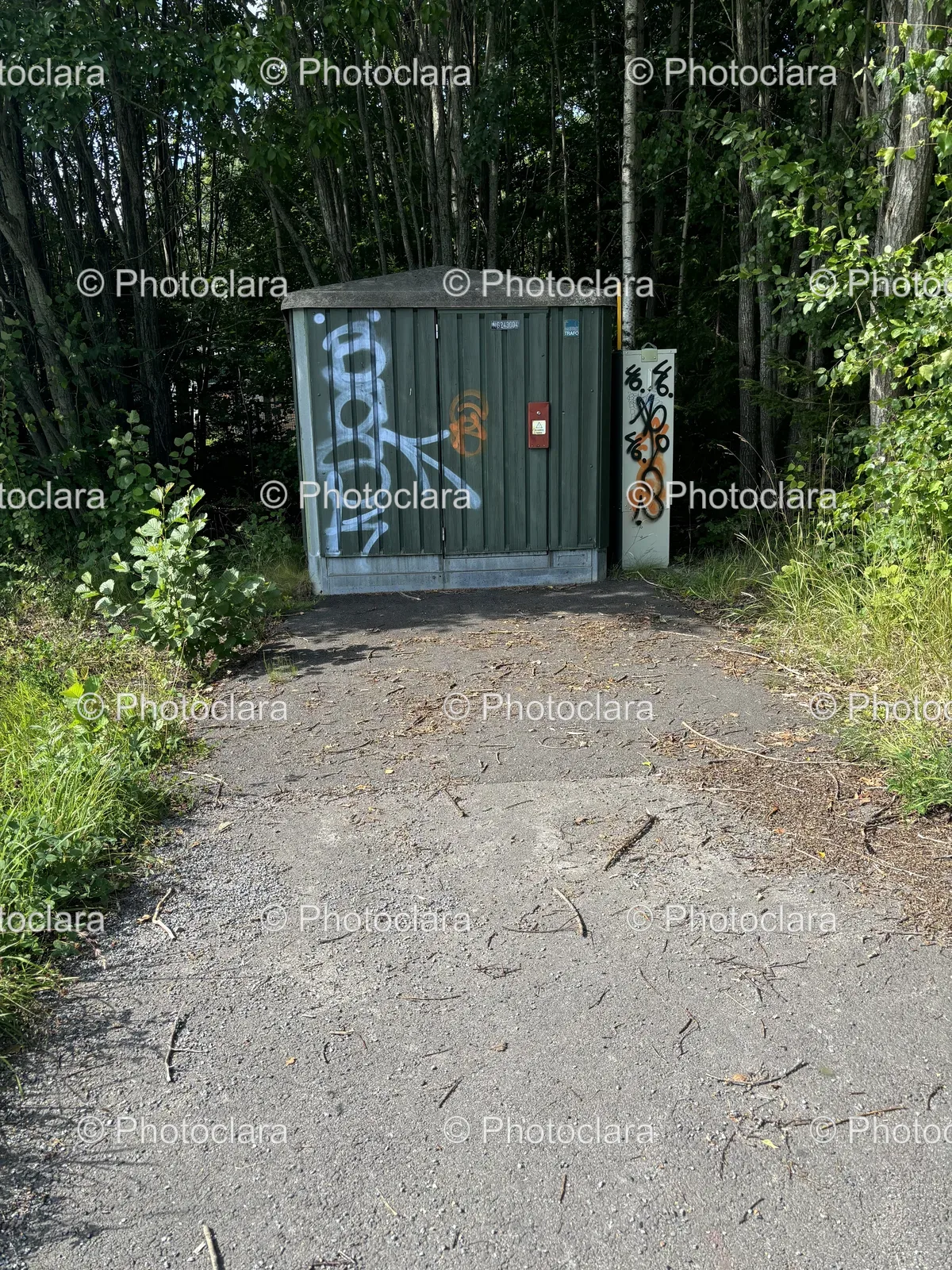 Graffiti-Enhanced-Shed-in-Nature.jpg