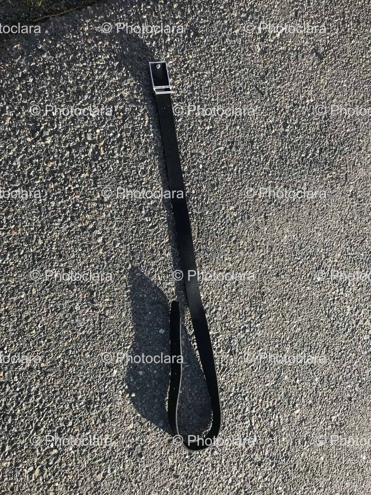 black-leash-on-ground.jpg