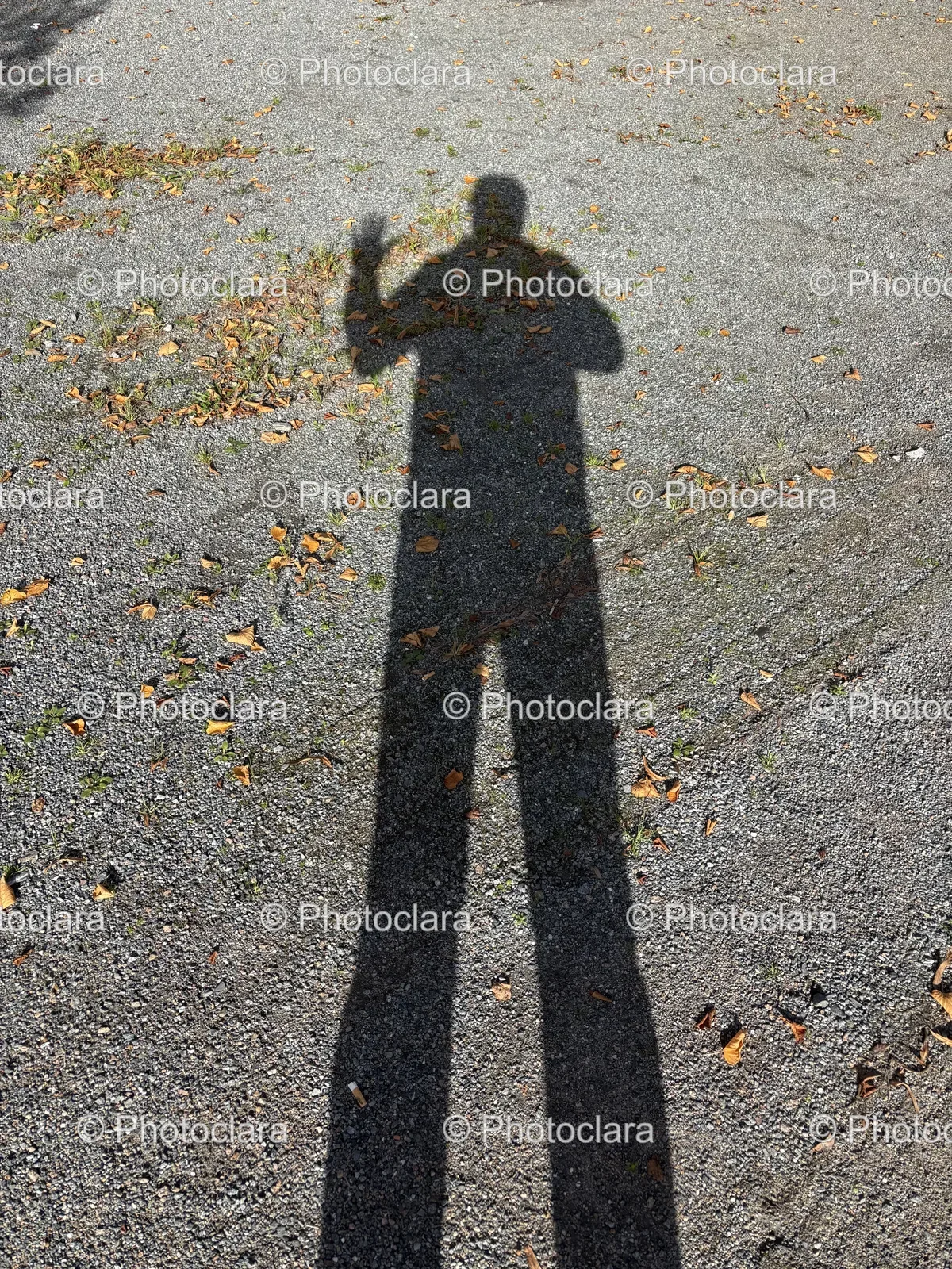 shadow-on-urban-street.jpg