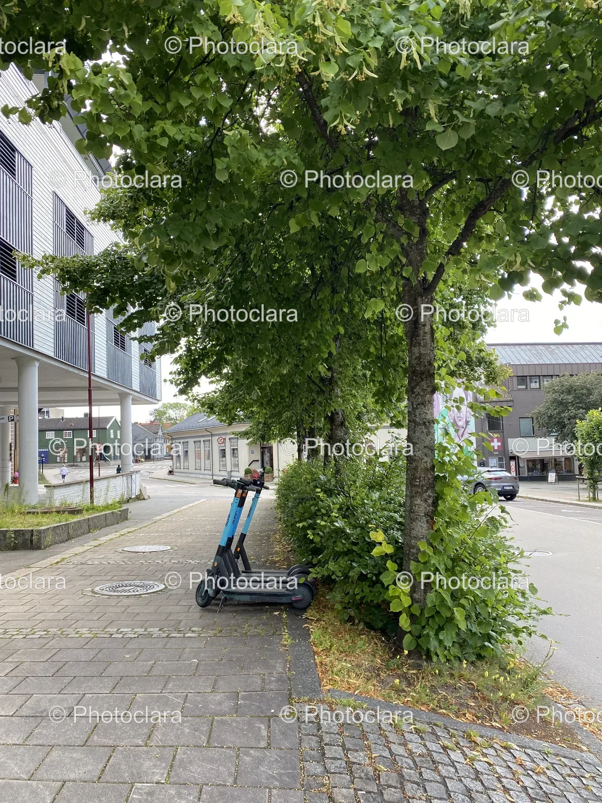 Scooter-Parked-Next-to-Tree.jpg