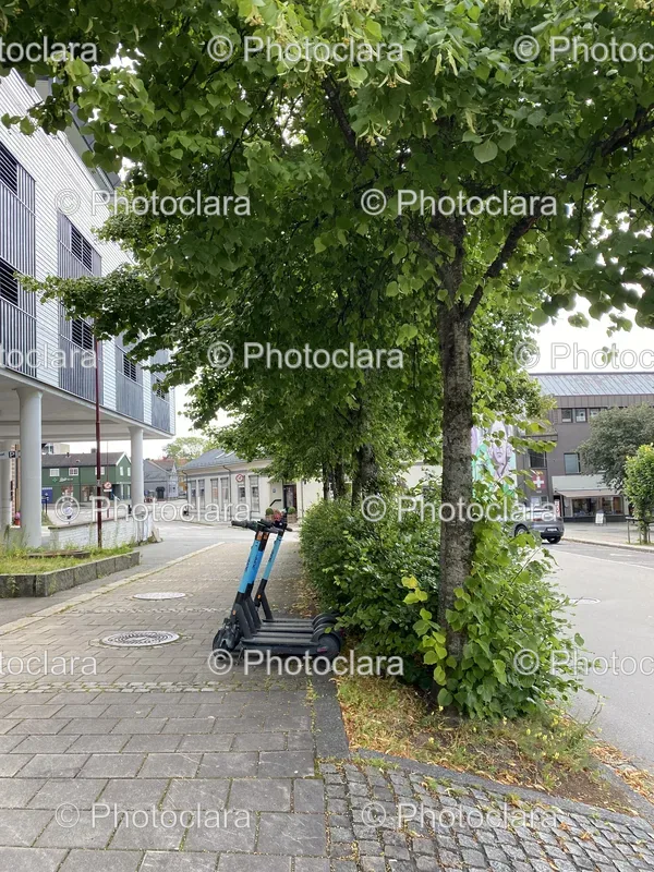 Urban Mobility