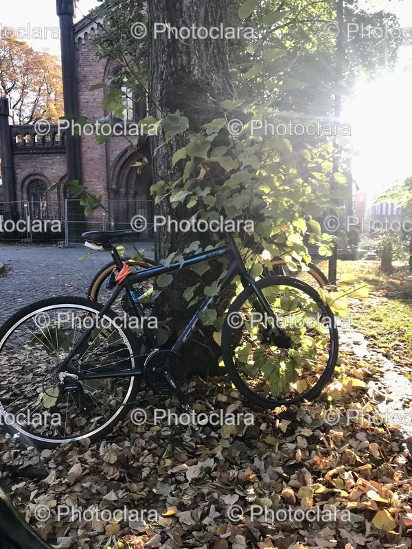 Bicycles and Parts