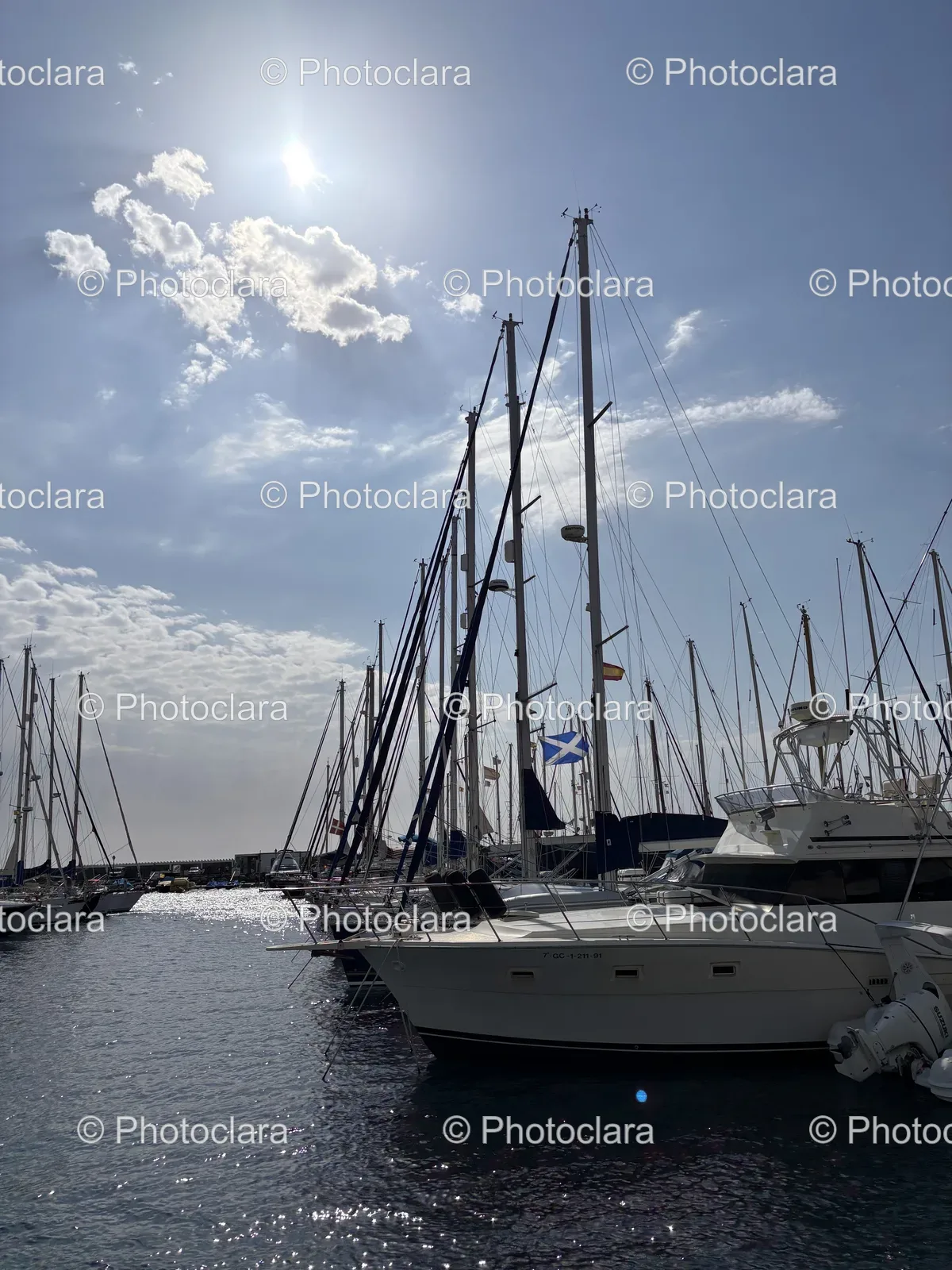 harbor-boats-gathering.jpg
