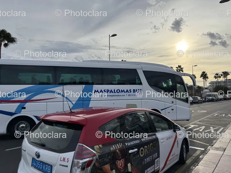 Buses and Public Transport