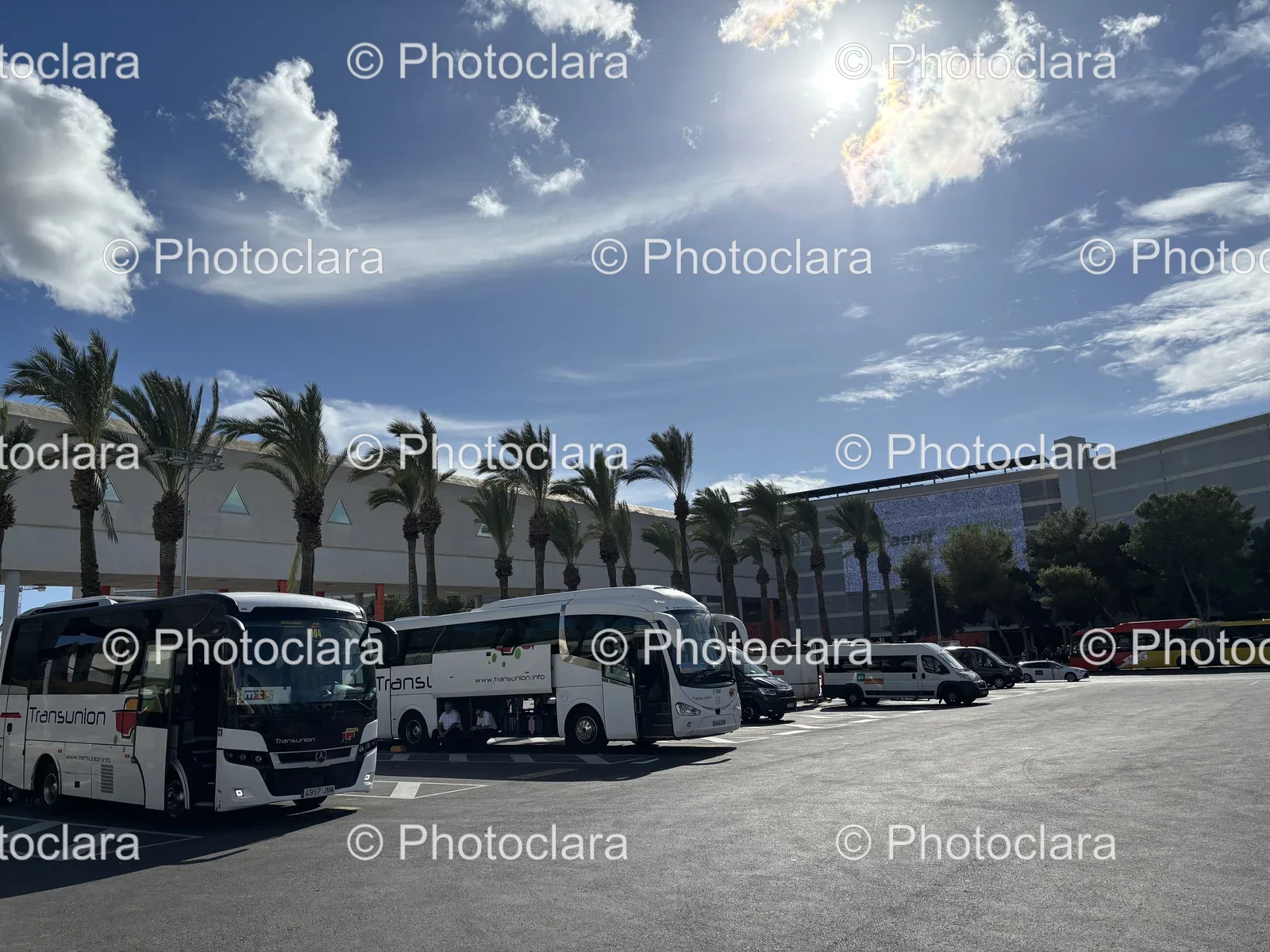 Fleet-of-Parked-Buses.jpg