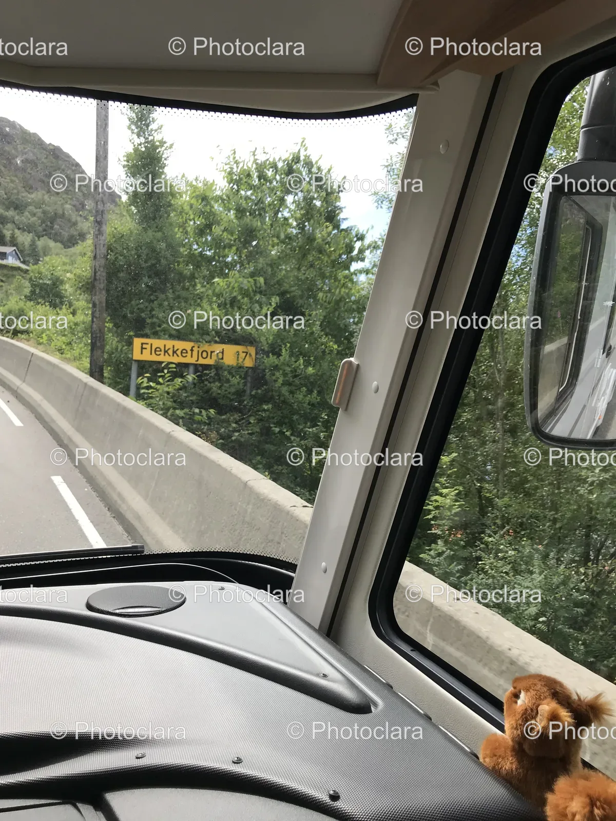 Small-Animal-Looking-Out-of-Bus-Window.jpg