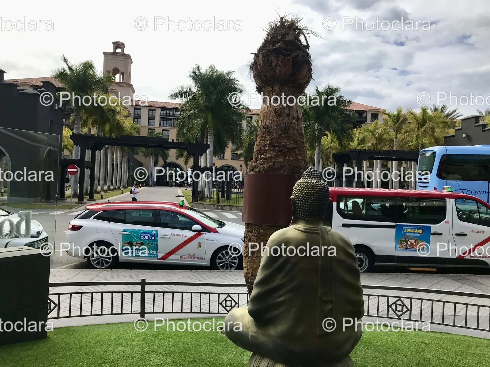 statue-next-to-palm-tree-verdant-park.jpg