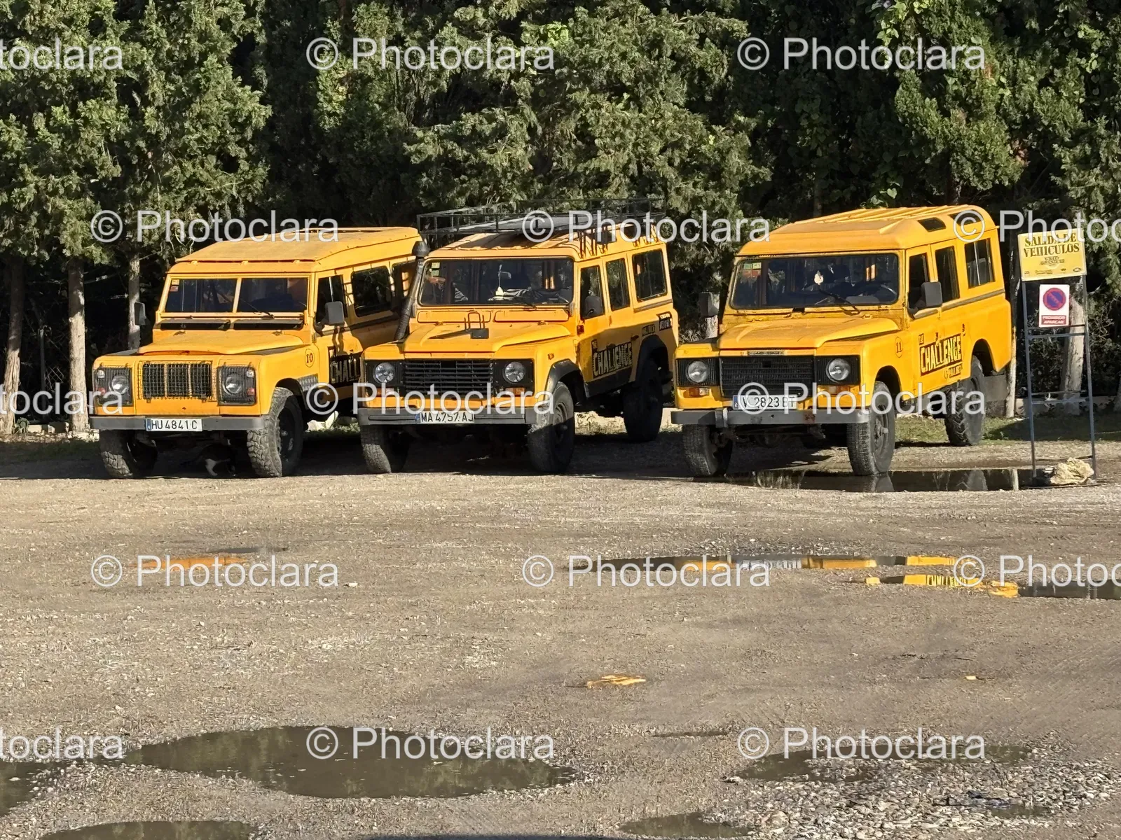 Yellow-Buses-Parked-Row.jpg