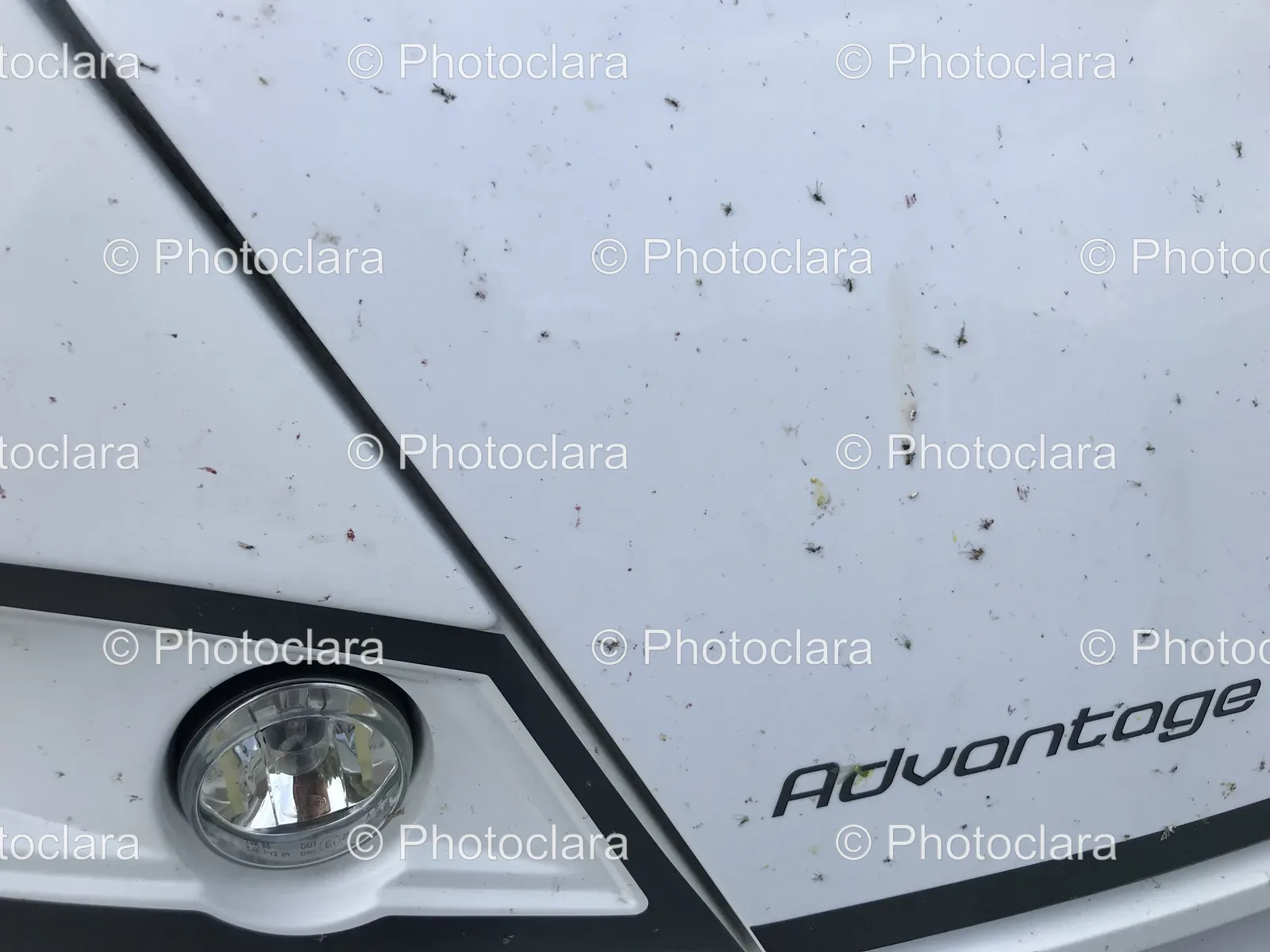 Close-up-of-Car-Hood-and-Headlamp.jpg