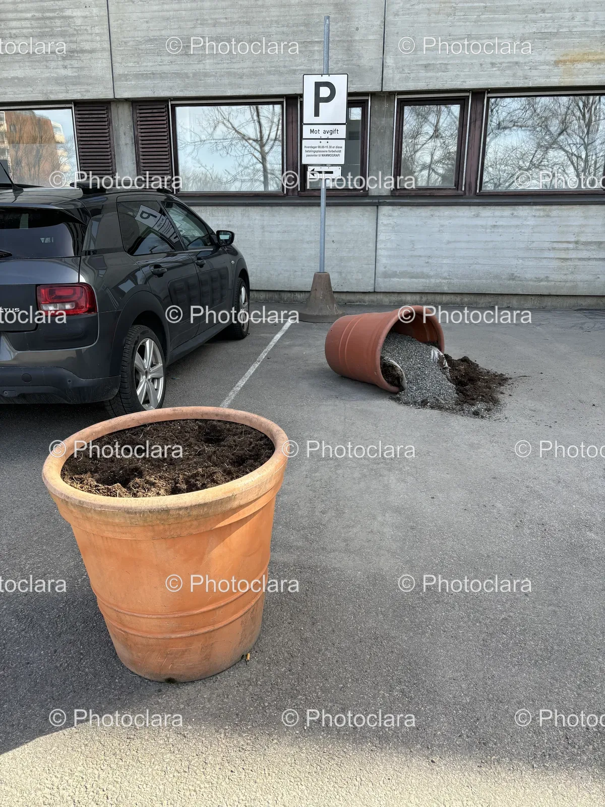 parked-car-next-to-large-pot.jpg
