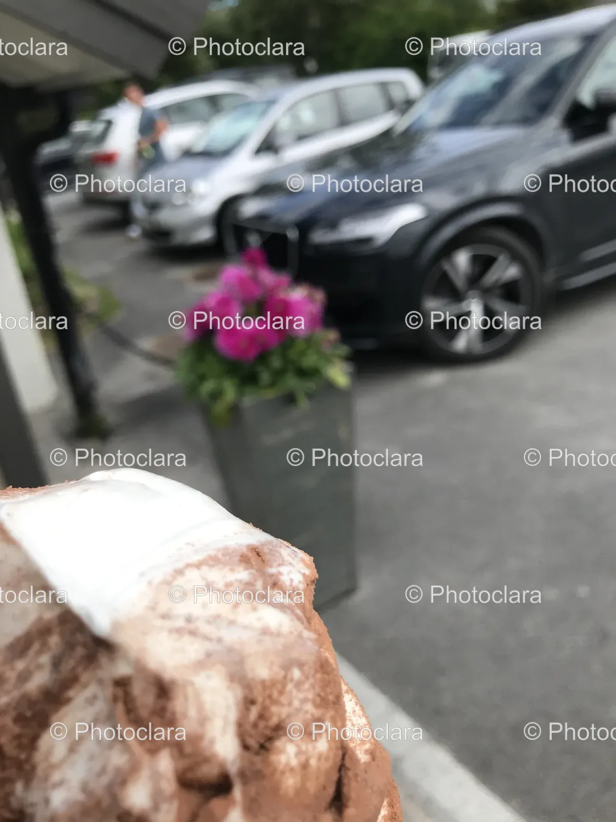Car-and-Wildflower-Close-Up.jpg