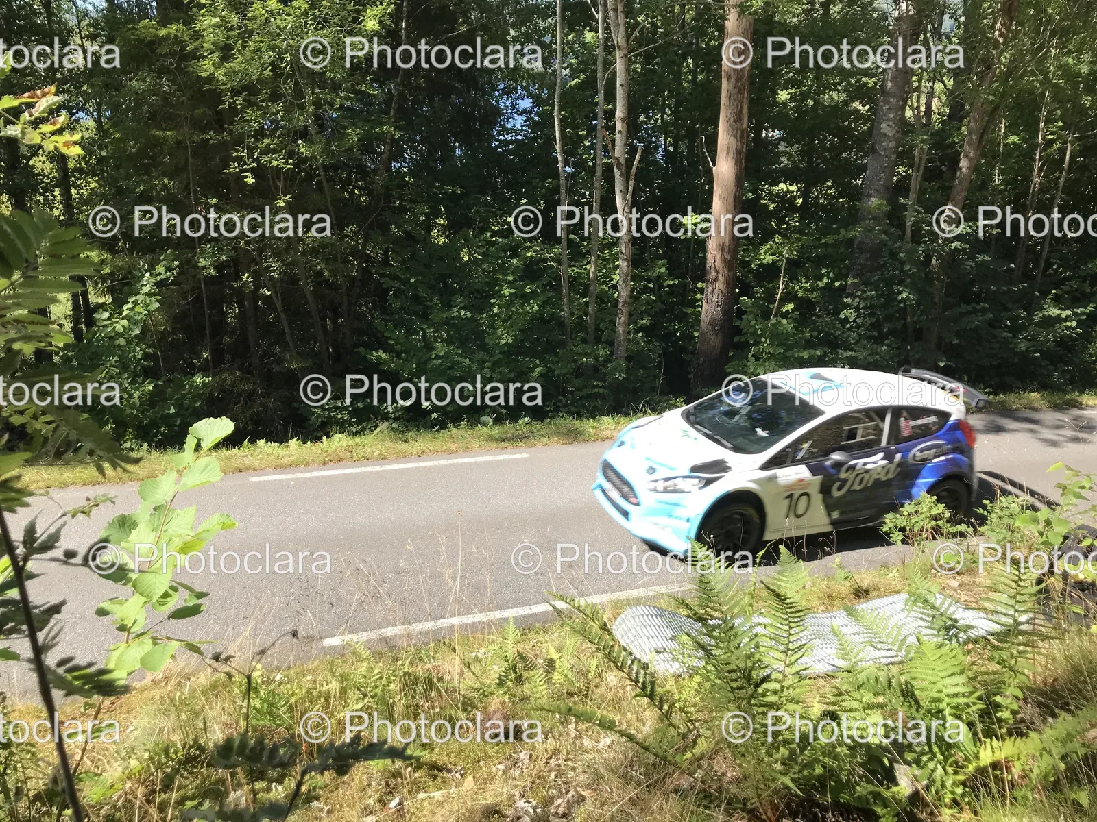Car-on-a-Road-in-Nature.jpg
