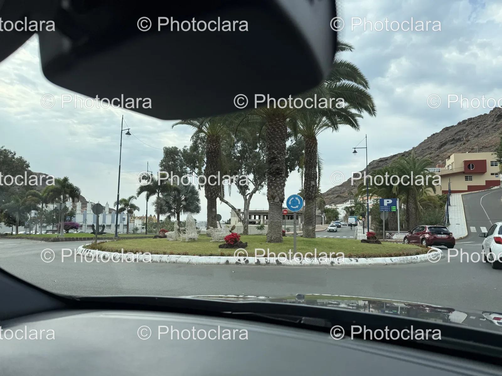 Escape-to-Puerto-Wocan-A-Road-Trip-with-Palm-Trees.jpg
