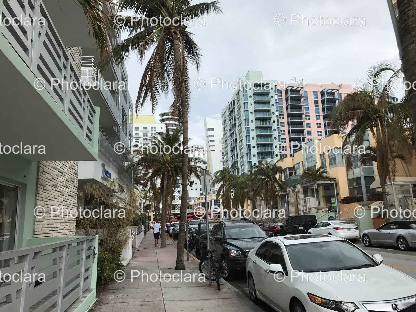 Palm-lined-sidewalk-with-parked-cars.jpg