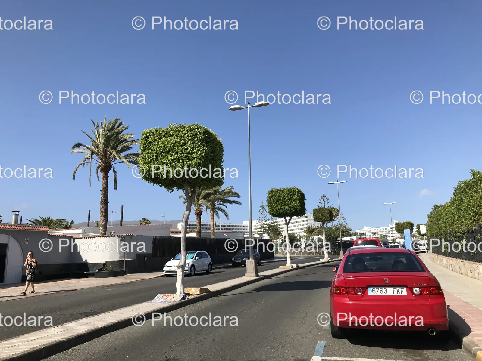 Red-Car-Tree-Lined-Urban-Road.jpg