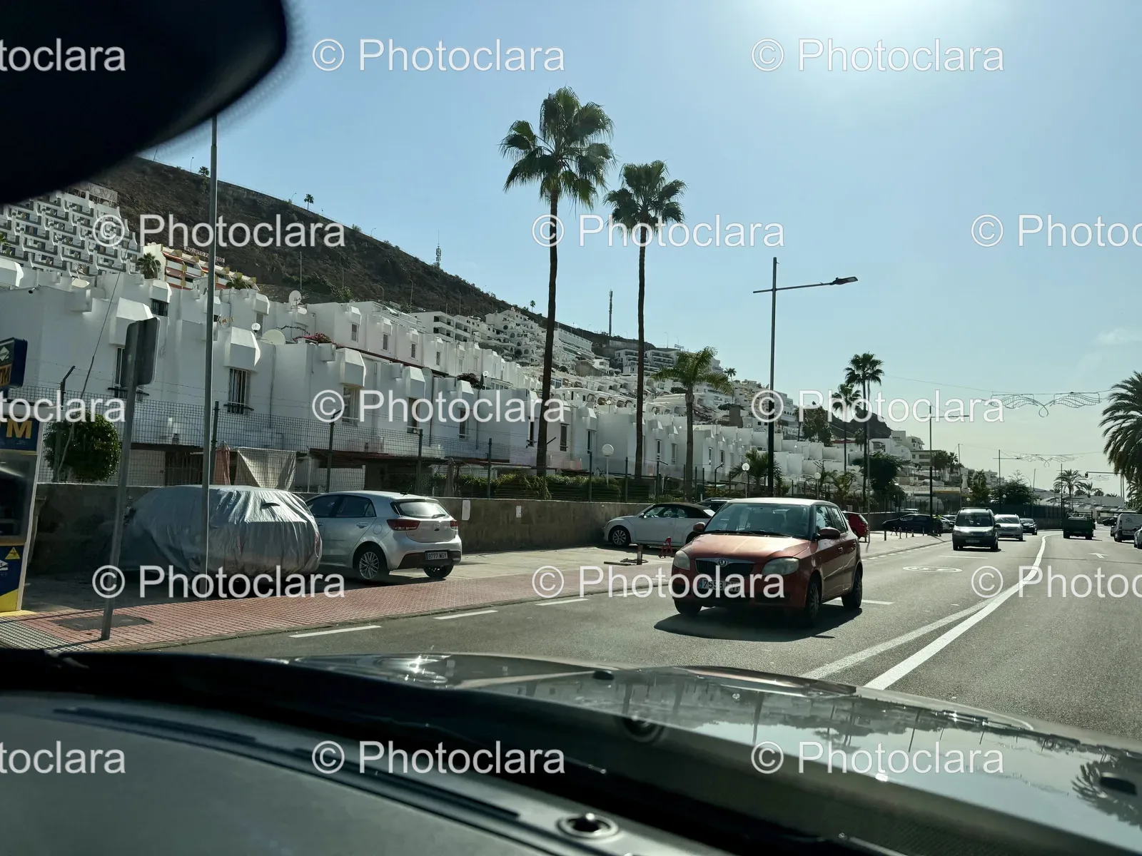 Roadside-View-with-Palm-Trees.jpg