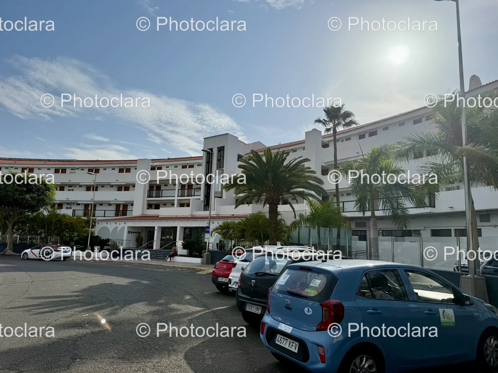 Cars-and-Palm-Trees-in-Parking-Lot.jpg