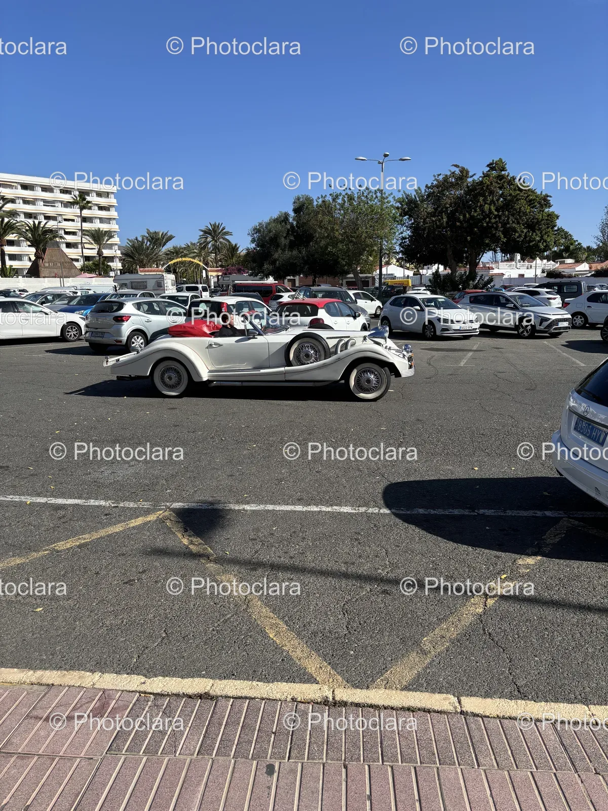 Cars-Parked-in-a-Busy-Parking-Lot.jpg