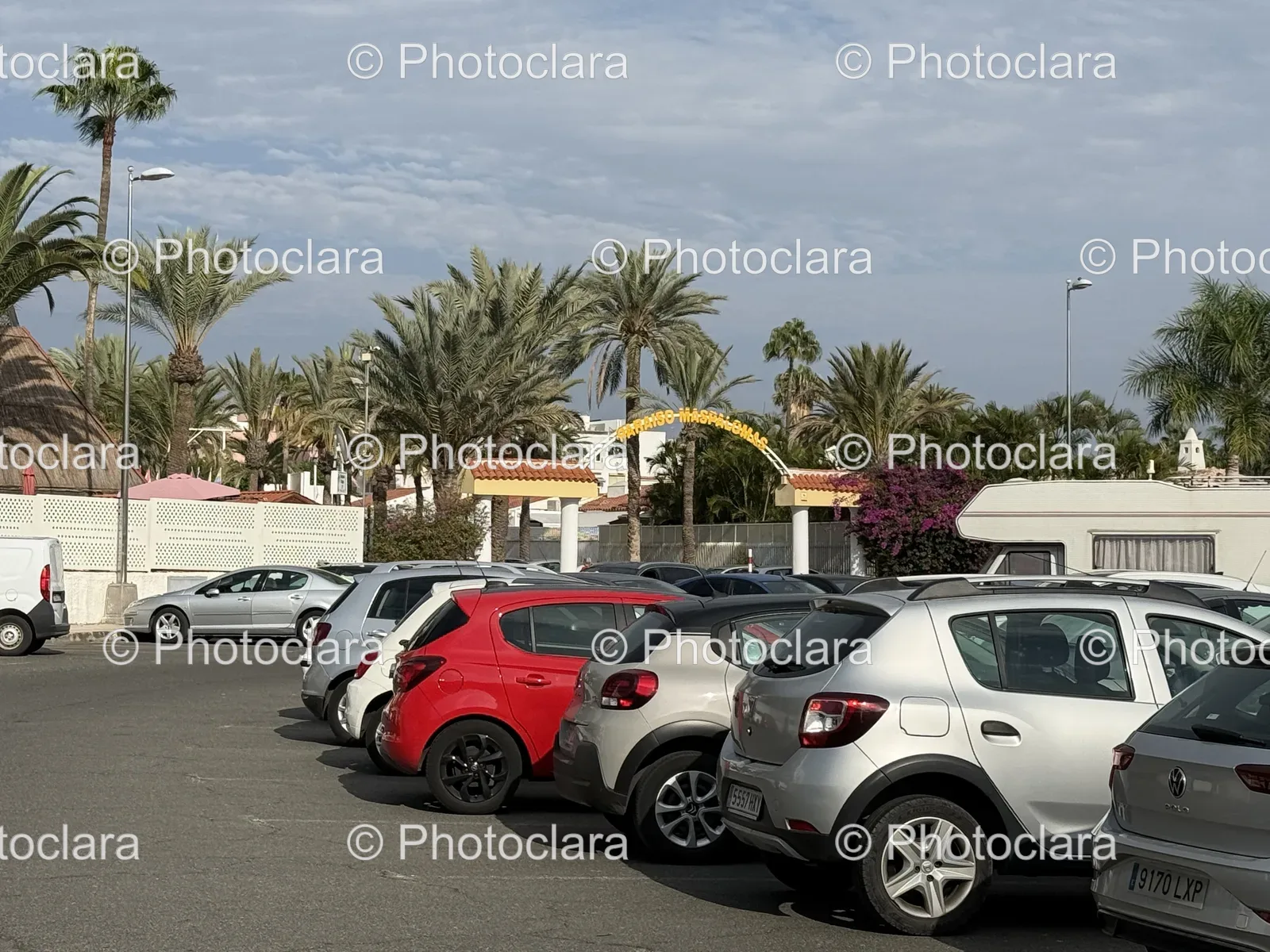 palm-lined-parking-lot-with-parked-cars.jpg