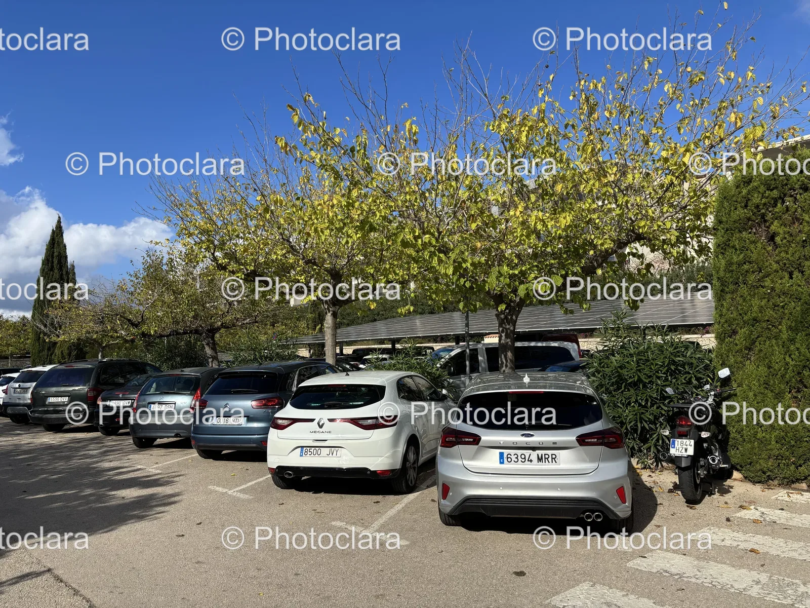 Parked-Cars-in-Spacious-Parking-Lot.jpg
