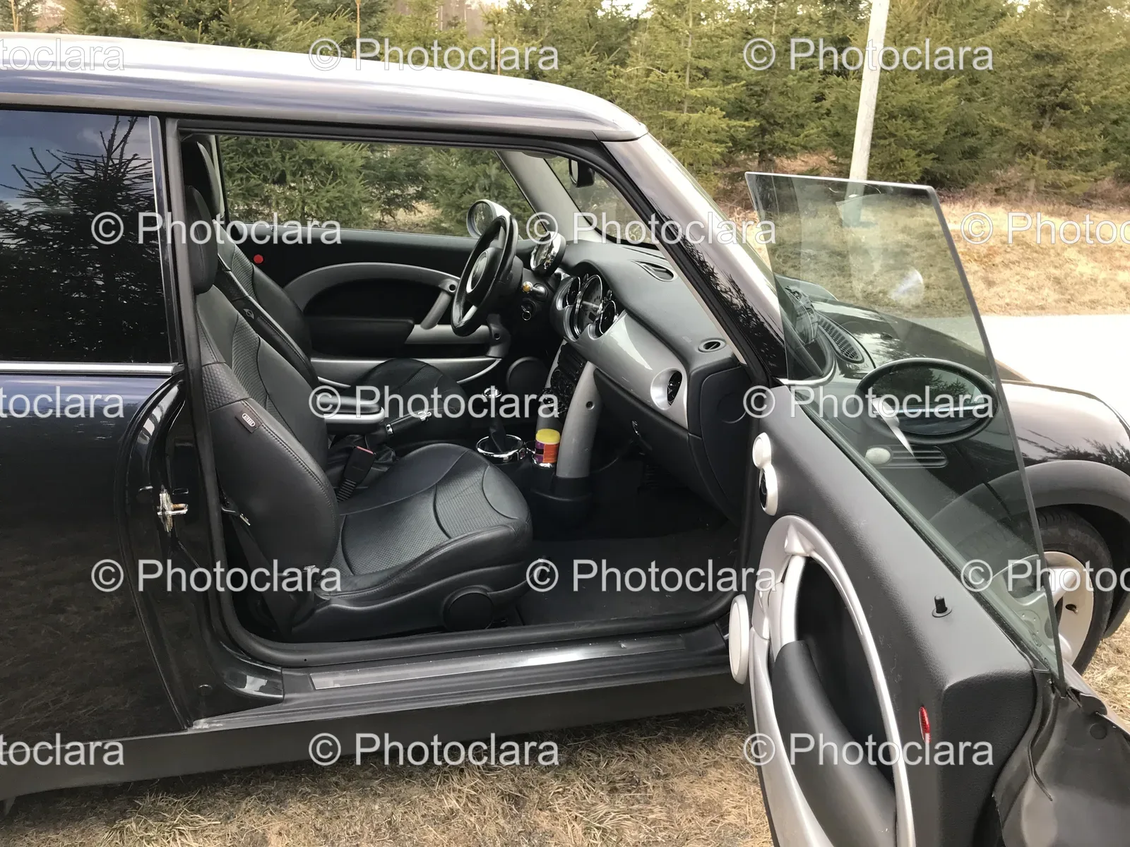 Car-With-Door-Open.jpg