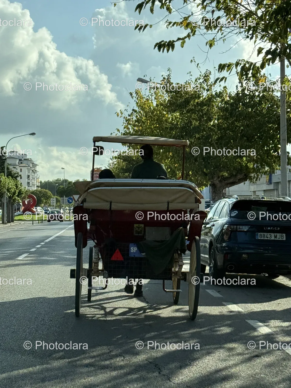 Horse-Carriage-on-the-Street.jpg